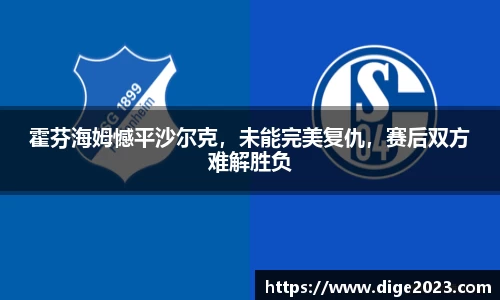 霍芬海姆憾平沙尔克，未能完美复仇，赛后双方难解胜负