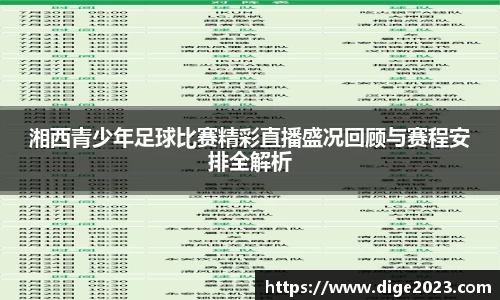 湘西青少年足球比赛精彩直播盛况回顾与赛程安排全解析